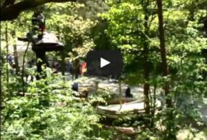Video Seilbahnfahrt Parcours 6 im Kletterwald Binz Prora