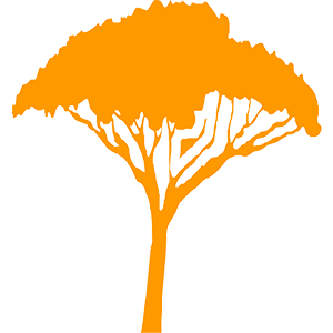 Baum aus Logo vom Kletterwald BinzProra